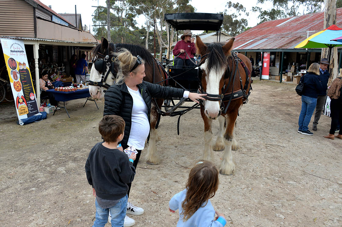 Carriage Rides