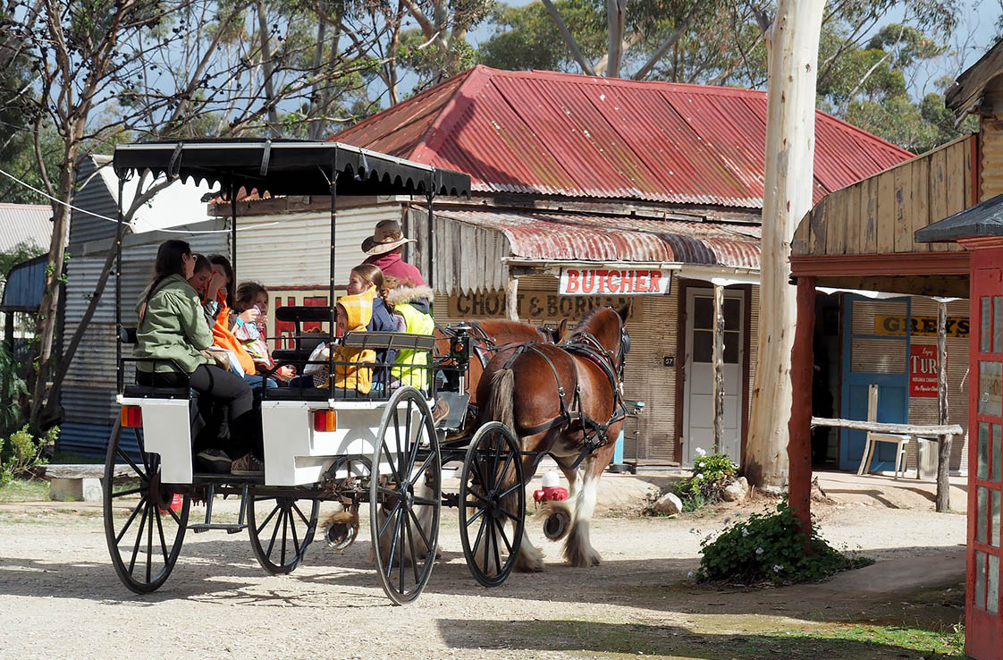 Cart Ride