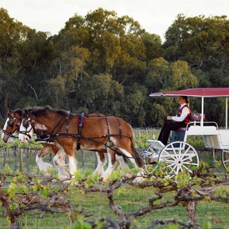The White Carriage with Angus and Henry